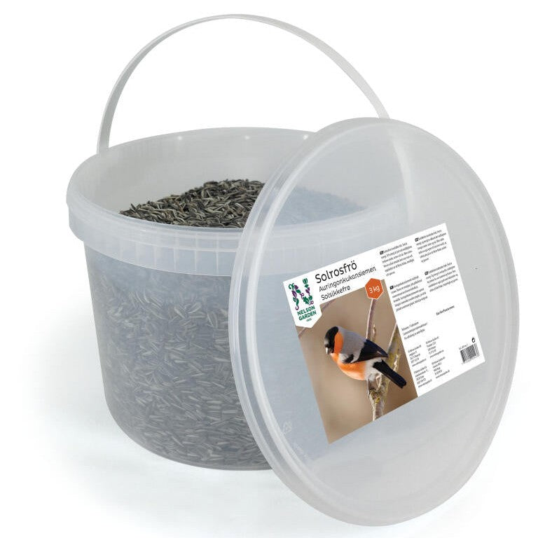 Solrosfrö strimmigt 3kg hink 1/1P